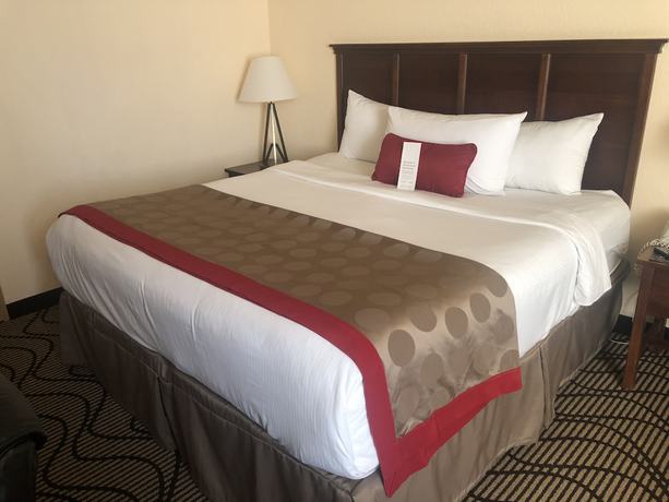 Imagen de la habitación del Hotel Ramada by Wyndham Birmingham Airport. Foto 5