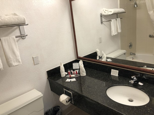 Imagen de la habitación del Hotel Ramada by Wyndham Birmingham Airport. Foto 17