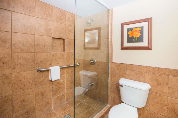 Imagen de la habitación del Hotel Ramada by Wyndham Des Moines Tropics Resort & Conference Ctr. Foto 8