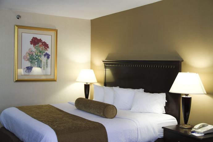 Imagen de la habitación del Hotel Ramada by Wyndham East Syracuse Carrier Circle. Foto 8