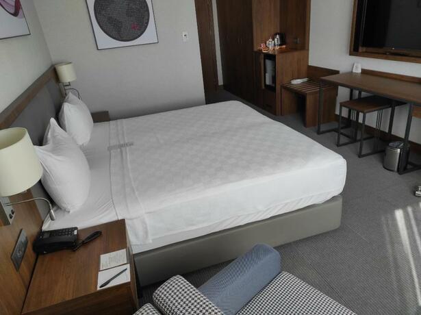 Imagen de la habitación del Hotel Ramada by Wyndham Izmir Aliaga. Foto 25