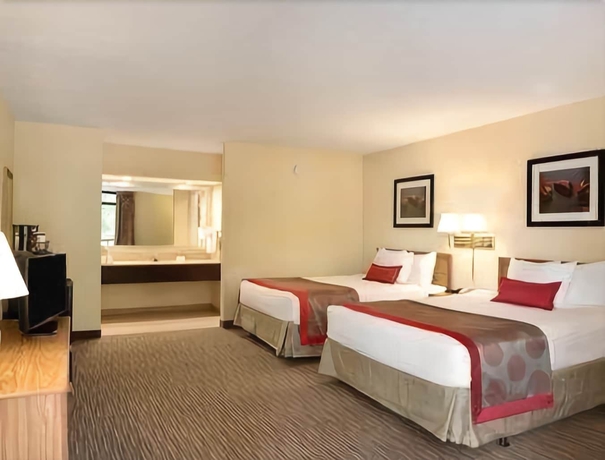 Imagen de la habitación del Hotel Ramada by Wyndham Jacksonville Hotel & Conference Center. Foto 2