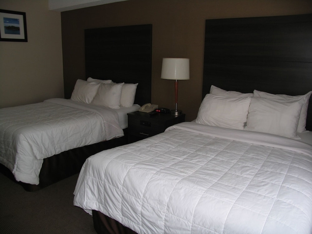 Imagen de la habitación del Hotel Ramada by Wyndham Kingston. Foto 13