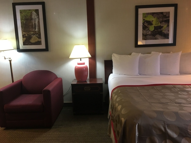 Imagen de la habitación del Hotel Ramada by Wyndham Portland Airport. Foto 13