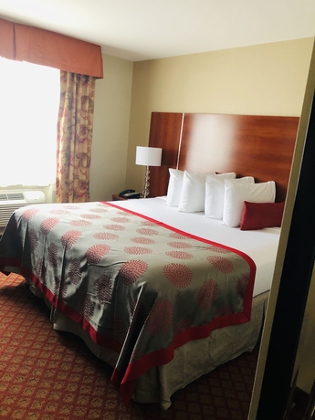 Imagen de la habitación del Hotel Ramada by Wyndham Staten Island. Foto 15