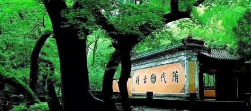 Imagen de los exteriores del Hotel Ramada by Wyndham Taizhou. Foto 16