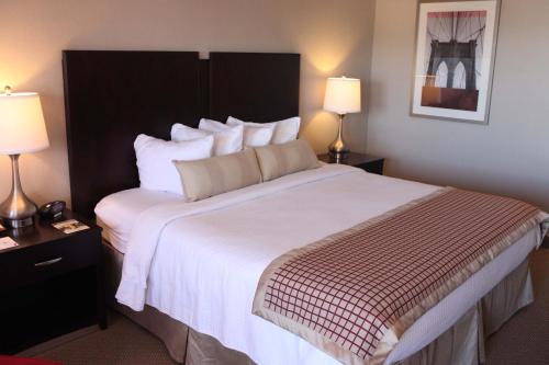 Imagen general del Hotel Ramada by Wyndham Tempe/At Arizona Mills Mall. Foto 2