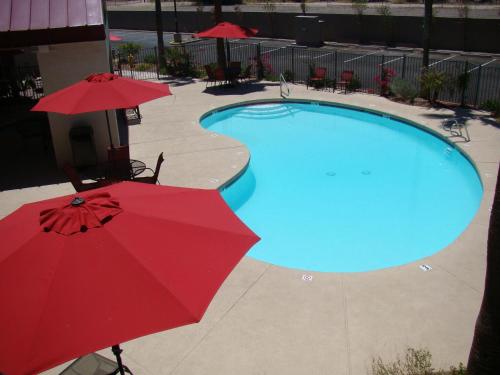 Imagen general del Hotel Ramada by Wyndham Tempe/At Arizona Mills Mall. Foto 3