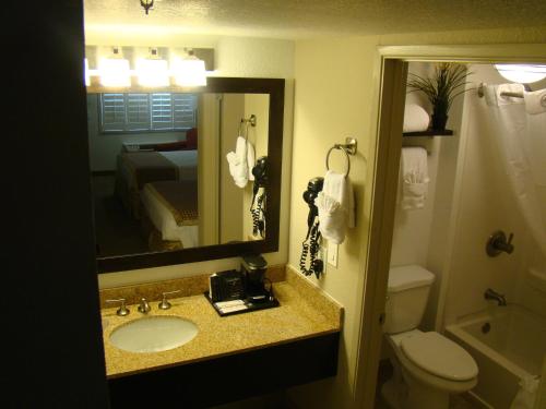 Imagen general del Hotel Ramada by Wyndham Tempe/At Arizona Mills Mall. Foto 4