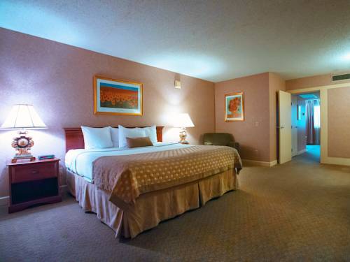 Imagen de la habitación del Hotel Ramada by Wyndham Topeka Downtown Hotel & Convention Center. Foto 9