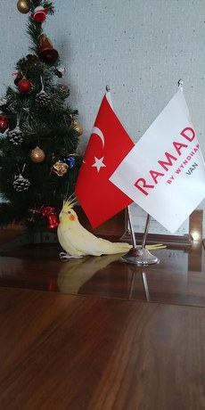 Imagen de los interiores del Hotel Ramada by Wyndham Van. Foto 19