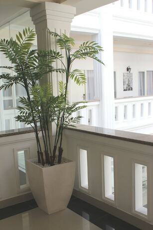 Imagen de los interiores del Hotel Ramayana Hotel. Foto 32