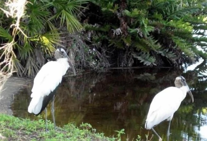 Imagen general del Hotel Ramblers Rest Rv Campground. Foto 2