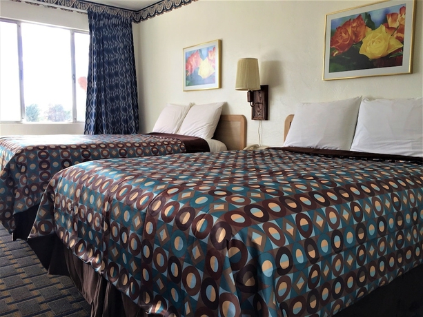 Imagen de la habitación del Hotel Ramblin Rose Motel. Foto 7