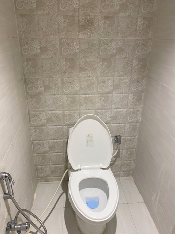 Imagen general del Hotel Ramesh Palace. Foto 1
