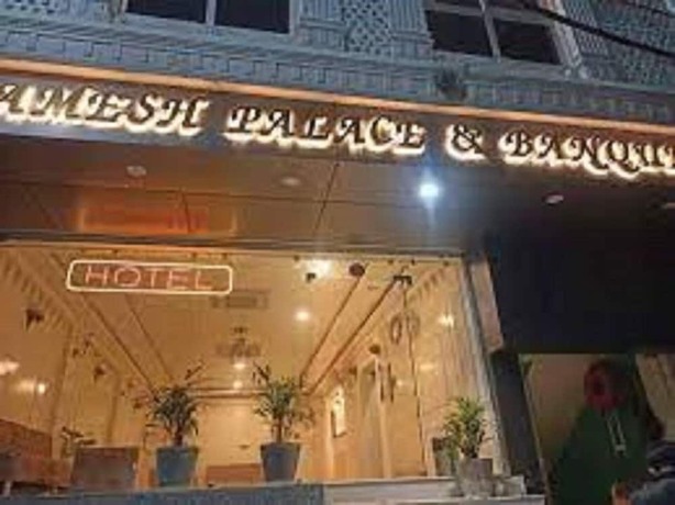 Imagen general del Hotel Ramesh Palace. Foto 3