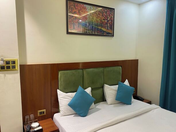Imagen general del Hotel Ramesh Palace. Foto 11