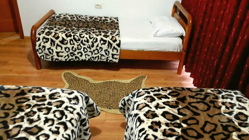 Imagen de la habitación del Hotel Ramis and Outdoor Sports Center. Foto 15