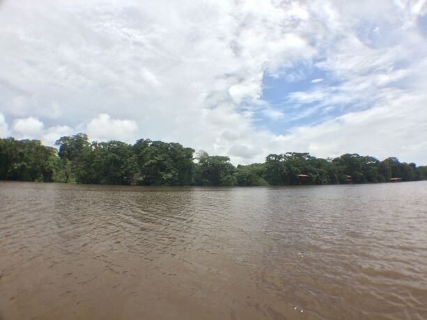 Imagen general del Hotel Rana Roja Lodge. Foto 9