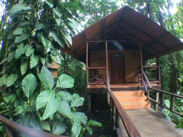 Imagen de la habitación del Hotel Rana Roja Lodge. Foto 19