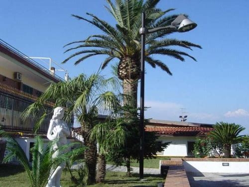 Imagen general del Hotel Ranch Palace. Foto 6