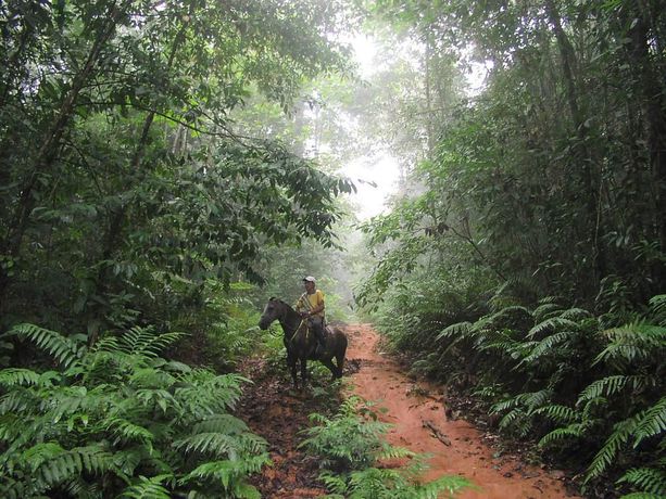 Imagen de los exteriores del Hotel Rancho Corcovado Lodge. Foto 18