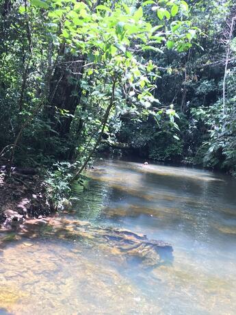 Imagen general del Hotel Rancho Ecologico Oasis de Luz. Foto 3