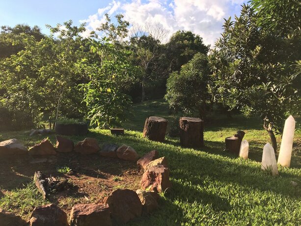 Imagen general del Hotel Rancho Ecologico Oasis de Luz. Foto 7