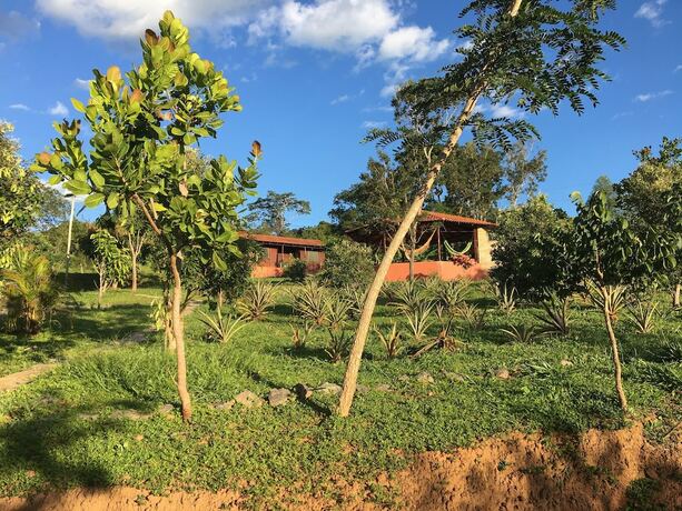 Imagen de la habitación del Hotel Rancho Ecologico Oasis de Luz. Foto 20
