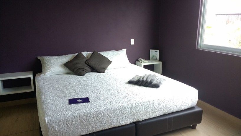 Imagen de la habitación del Hotel Rancho Macloy Spa and Social Events. Foto 10