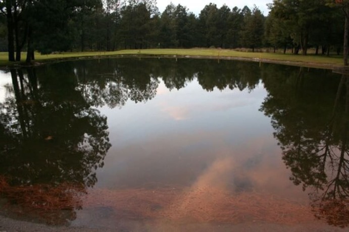 Imagen general del Hotel Rancho Viejo. Foto 4