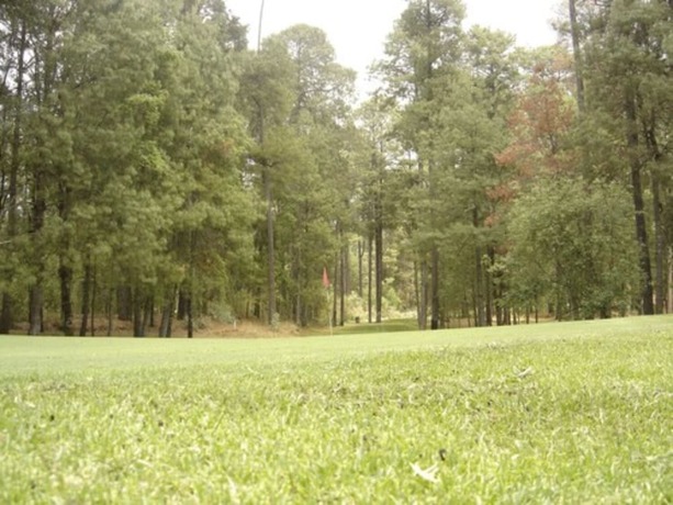 Imagen general del Hotel Rancho Viejo. Foto 5