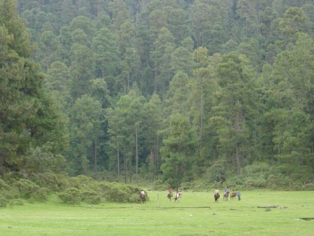 Imagen general del Hotel Rancho Viejo. Foto 15