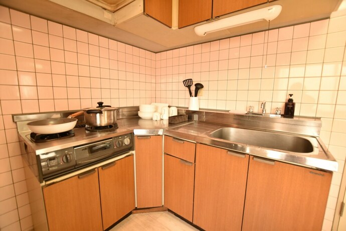 Imagen de la habitación del Hotel Randor Residence Tokyo Grand. Foto 17