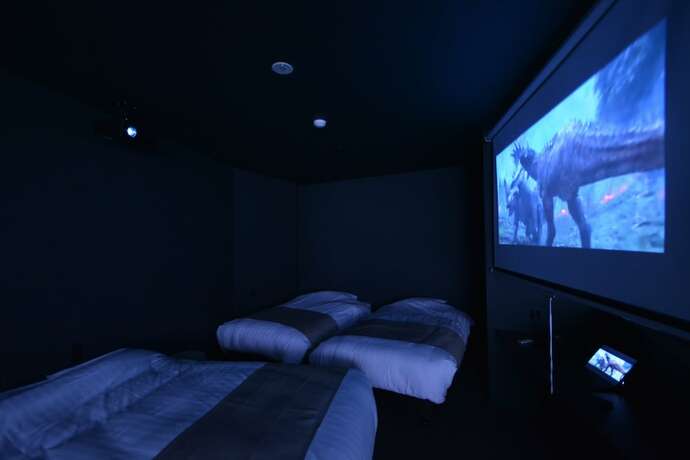 Imagen de la habitación del Hotel Randor Residence Tokyo Suites. Foto 22