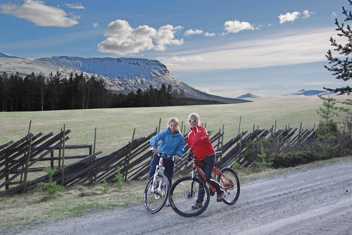 Imagen general del Hotel Randsverk Hytter i Lemonsj&oslash;en Fjellpark. Foto 4