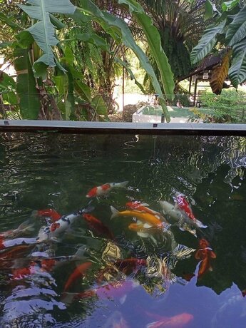 Imagen general del Hotel Ranong River View. Foto 18