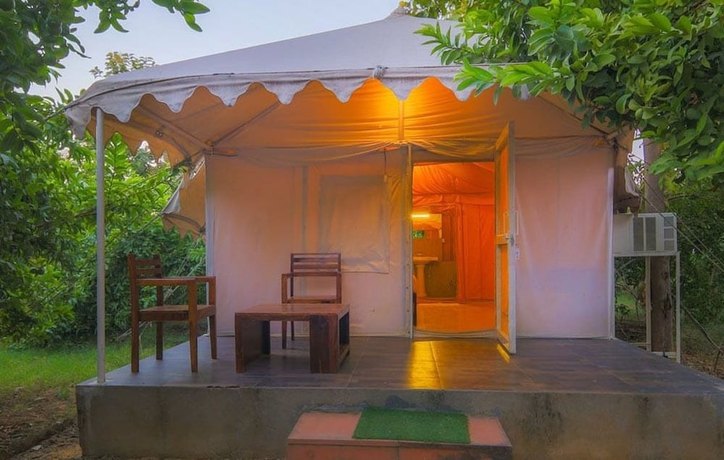 Imagen de la habitación del Hotel Ranthambore Tiger Inn Comfort Resort. Foto 7