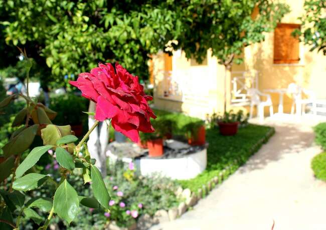 Imagen general del Hotel Rantos Apartments, Corfu. Foto 8