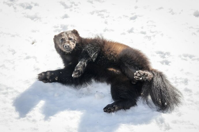 Imagen general del Hotel Ranua Resort Holiday Village. Foto 9