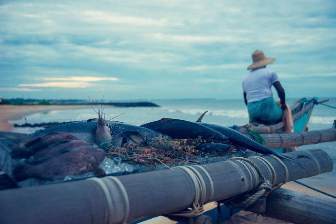 Imagen de los exteriores del Hotel Ranweli Holiday Village. Foto 5