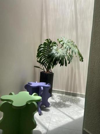 Imagen general del Hotel Raon THT. Foto 2