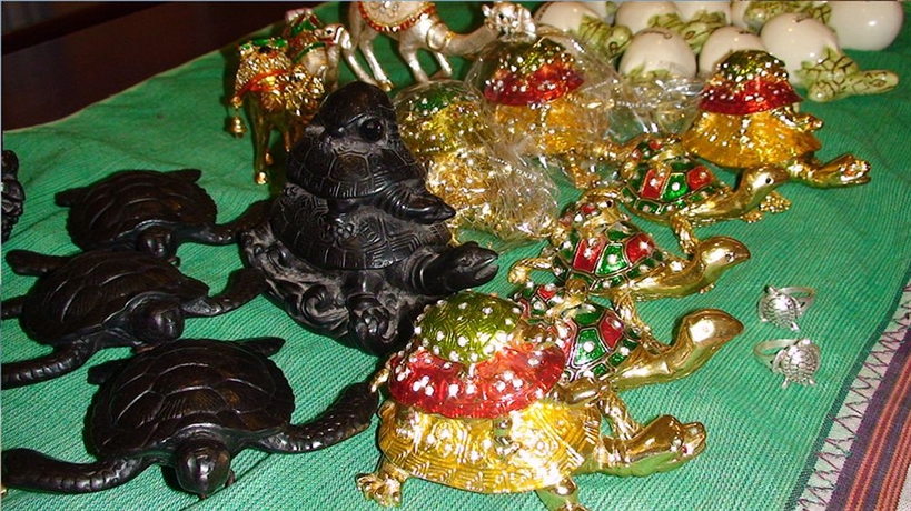 Imagen de los interiores del Hotel Ras Al Jinz Turtle Reserve. Foto 16