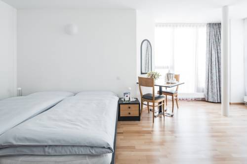 Imagen de la habitación del Hotel Raselli Sport. Foto 15