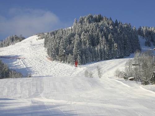 Imagen general del Hotel Rasmushof - Hotel Kitzb&uuml;hel. Foto 19