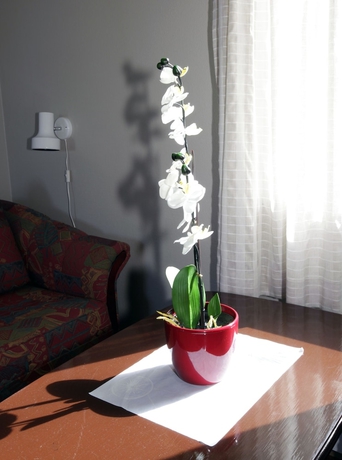 Imagen de la habitación del Hotel Rasta Håby. Foto 16