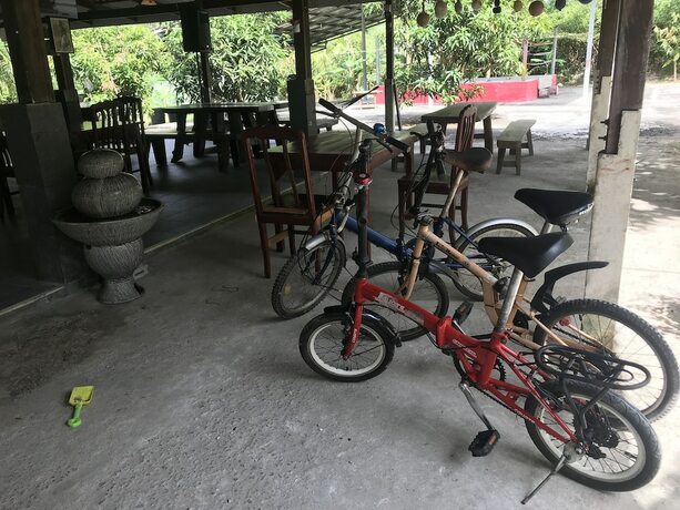 Imagen general del Hotel Rasta House. Foto 9