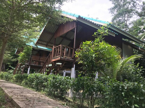 Imagen de la habitación del Hotel Rasta House. Foto 20