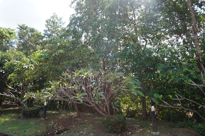 Imagen de los exteriores del Hotel Ratchapreuk Resort. Foto 18