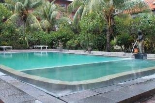 Imagen de la piscina del Hotel Ratu. Foto 15